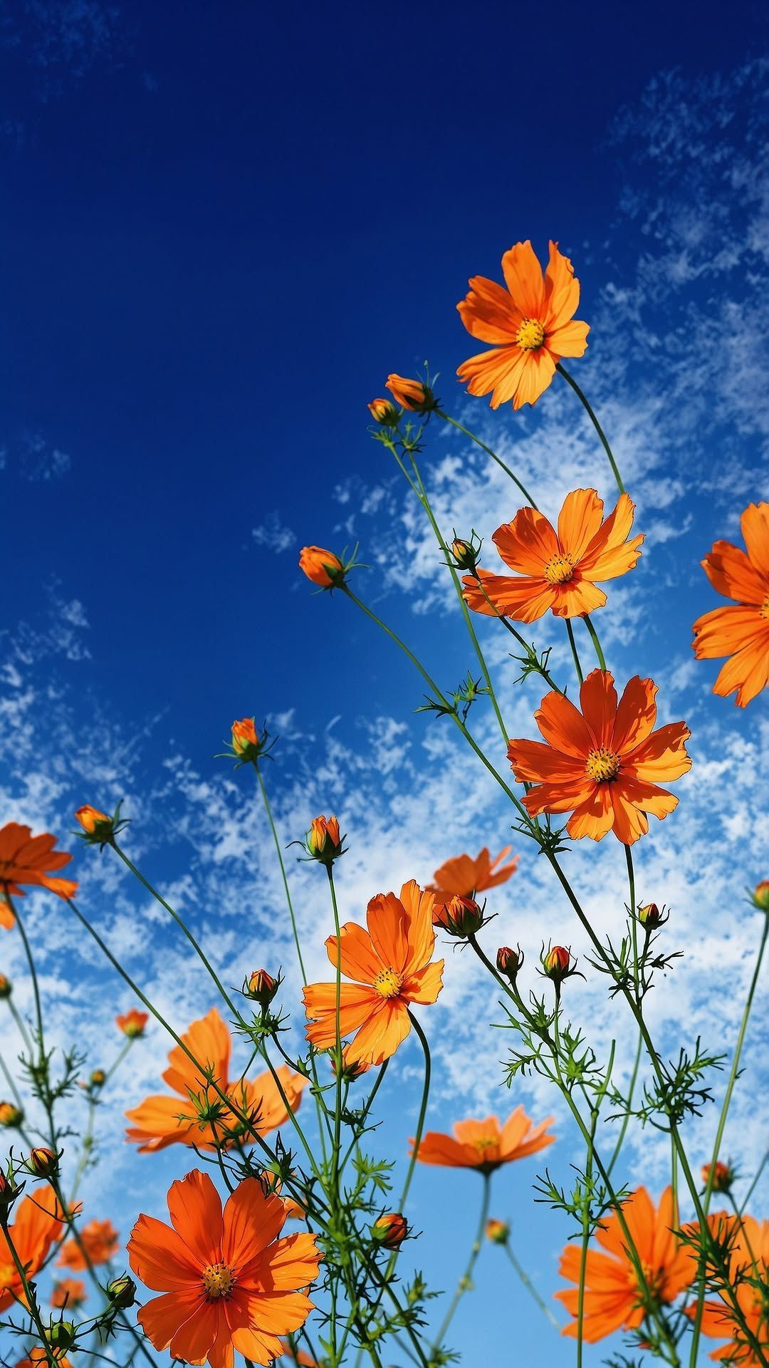 Happiness Coaching